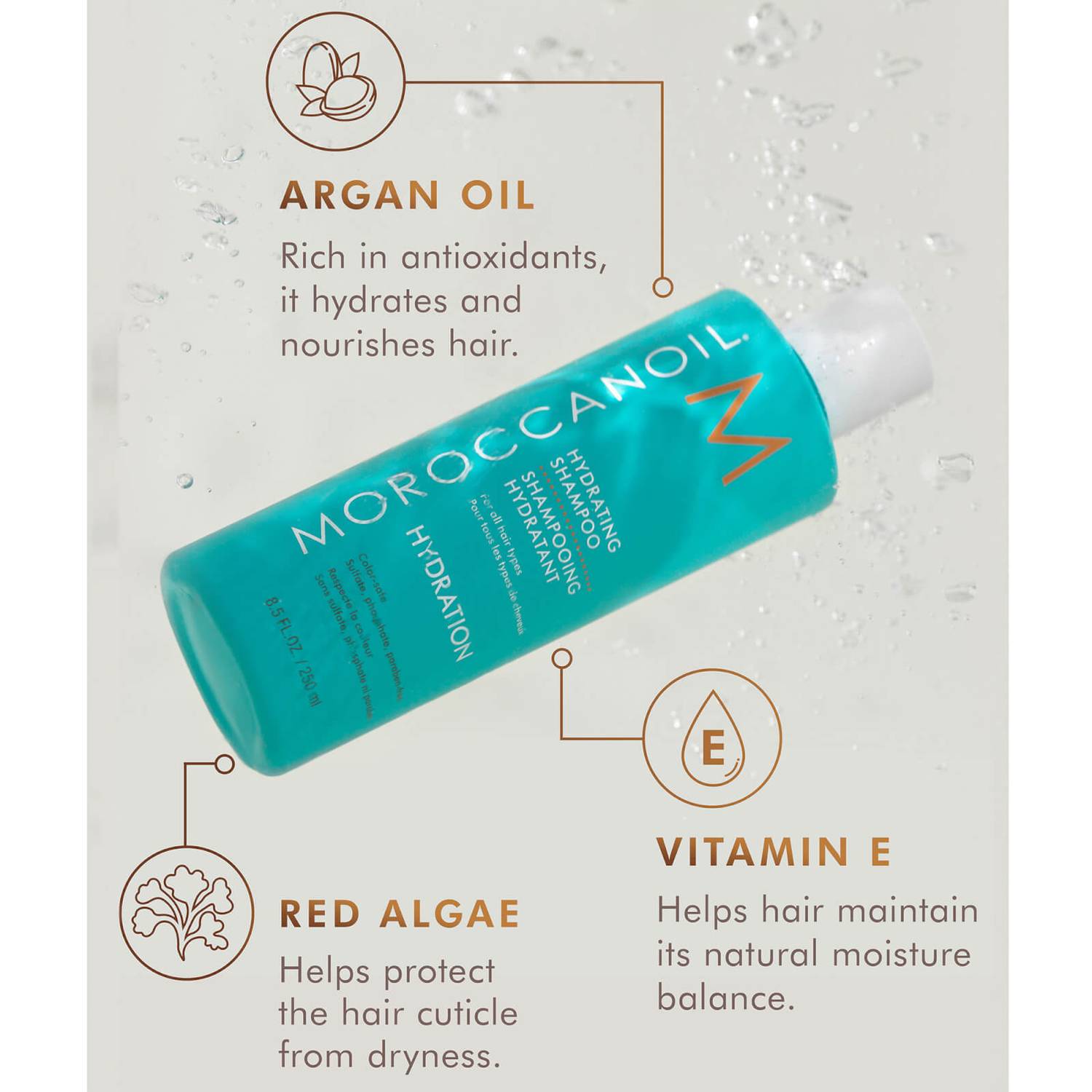 Moroccanoil Hydrating Shampoo 500 ML  and Conditioner 500ml