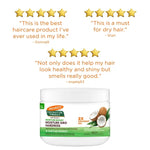 Palmer's Coconut Oil Formula Moisture Gro Hairdress
