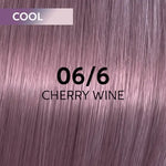 Wella Professionals Shinefinity Zero Lift Glaze