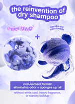 K18 AirWash™ dry shampoo 118 ml