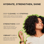 African Pride Moisture Miracle Aloe & Coconut Water Conditioner 354ml/12oz