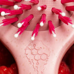 Bounce Curl Volume EdgeLift Brush Raspberry