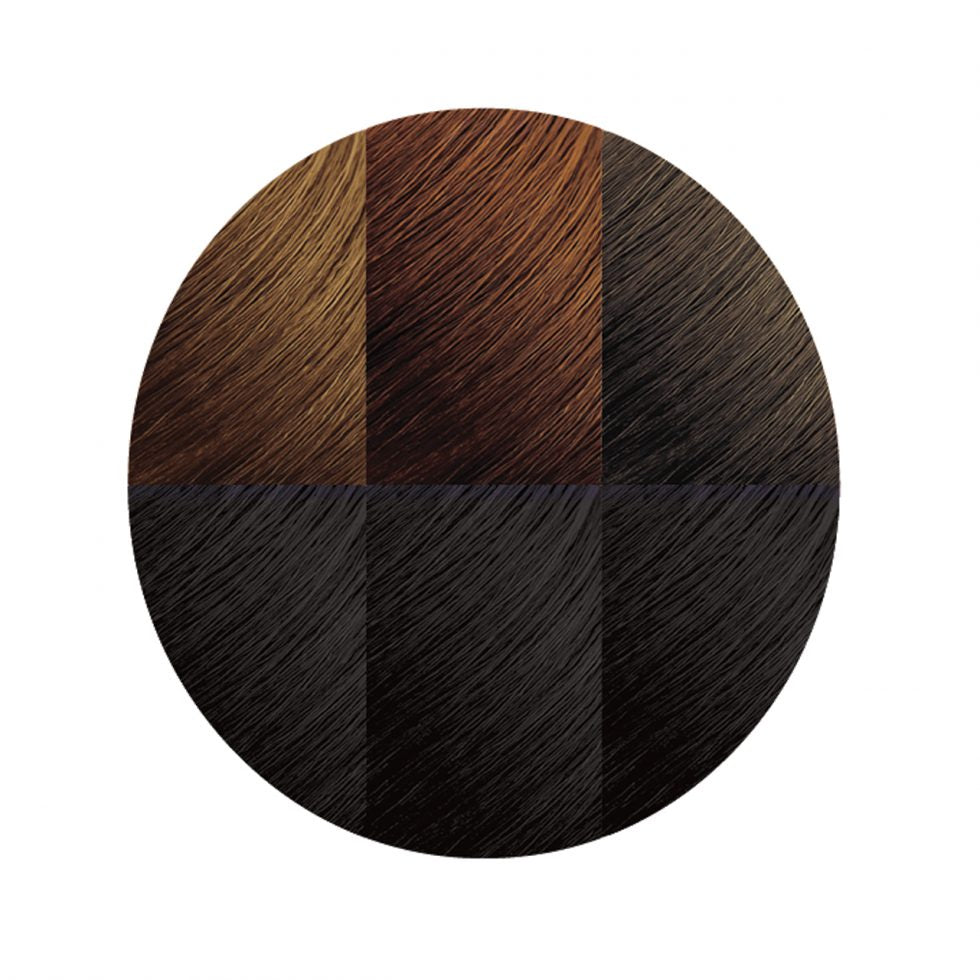 Creme of Nature moisture-Rich Permanent Hair Color C10 Jet Black