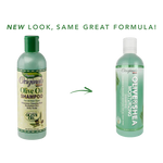 Africa’s Best Olive & Shea Moisturizing Shampoo 355ml/12oz