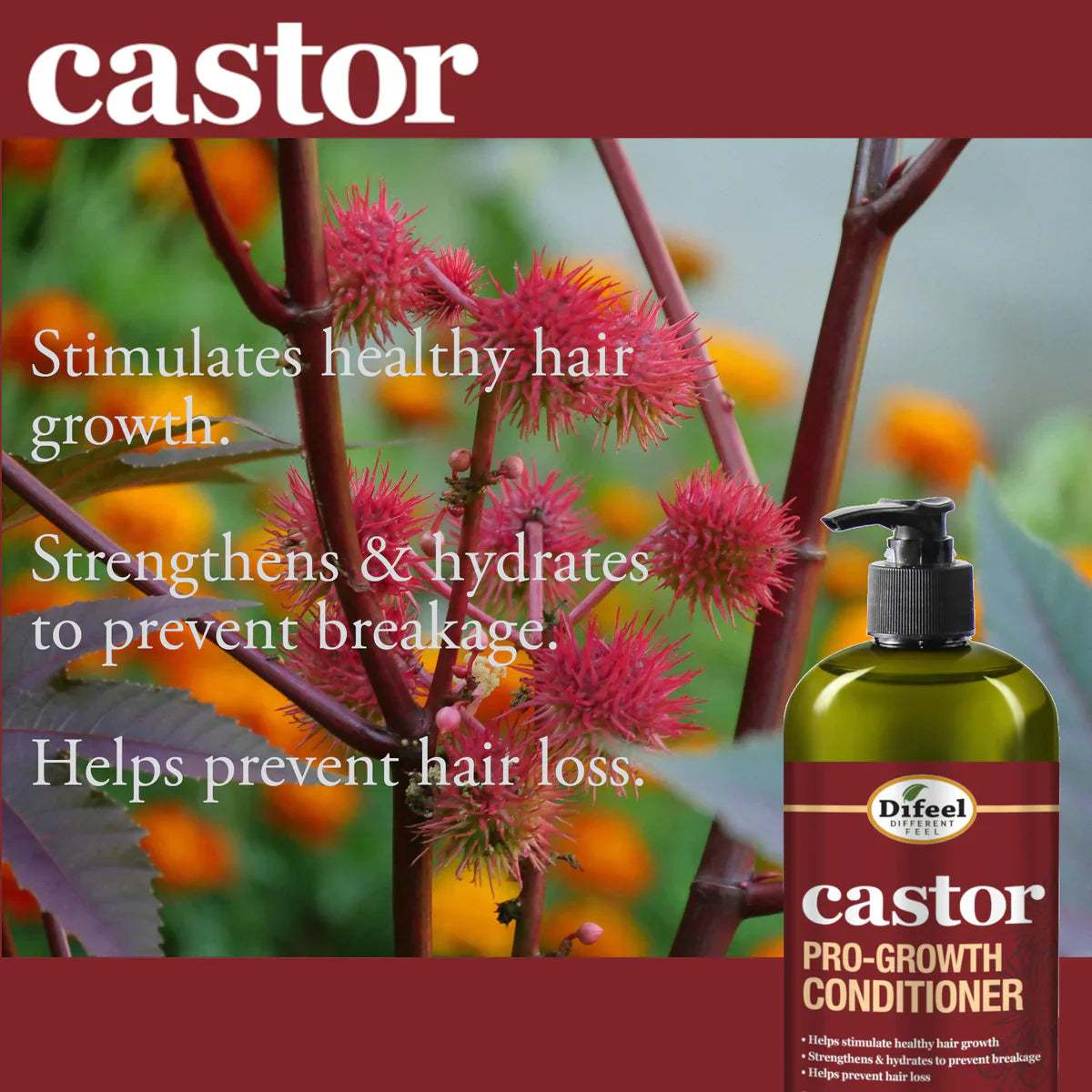 Difeel Castor Pro-Growth Conditioner