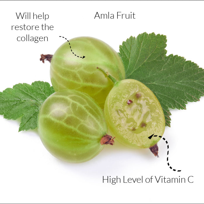 Ayumi Amla Powder 100g Box