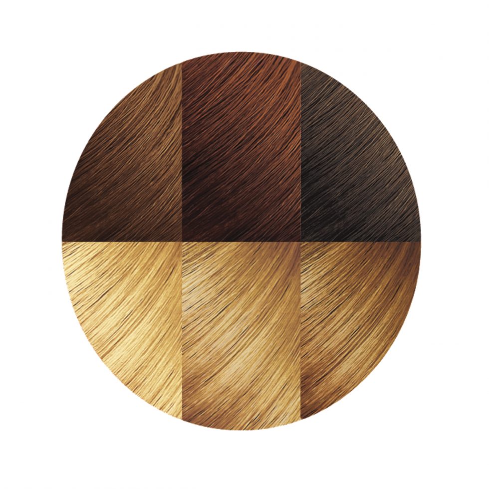 Creme of Nature Argan Oil Permanent Hair Color 10.01 Ginger Blonde