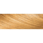 Creme of Nature Argan Oil Permanent Hair Color 10.01 Ginger Blonde