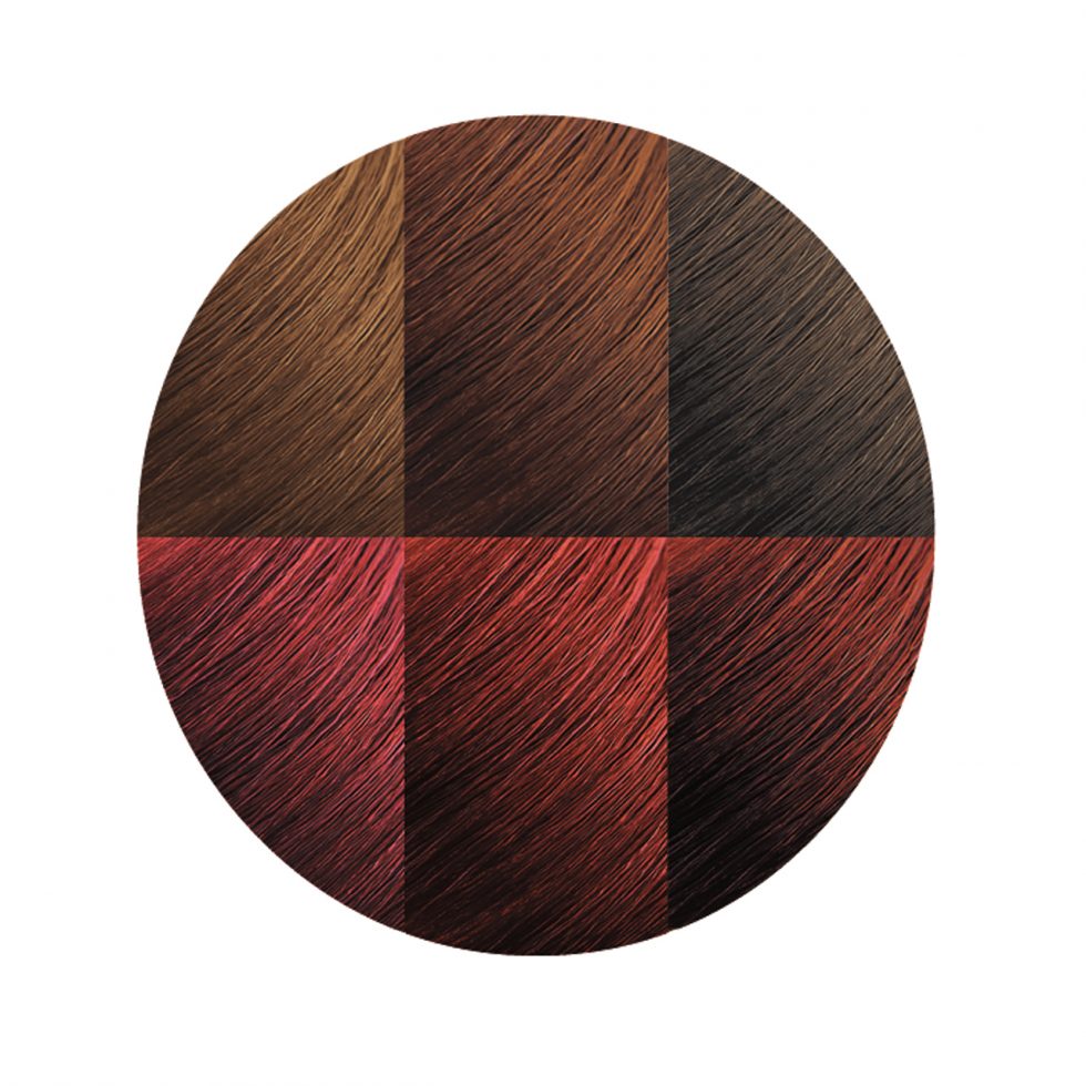 Creme of Nature Argan Oil Permanent Hair Color 7.6 Intensive Red