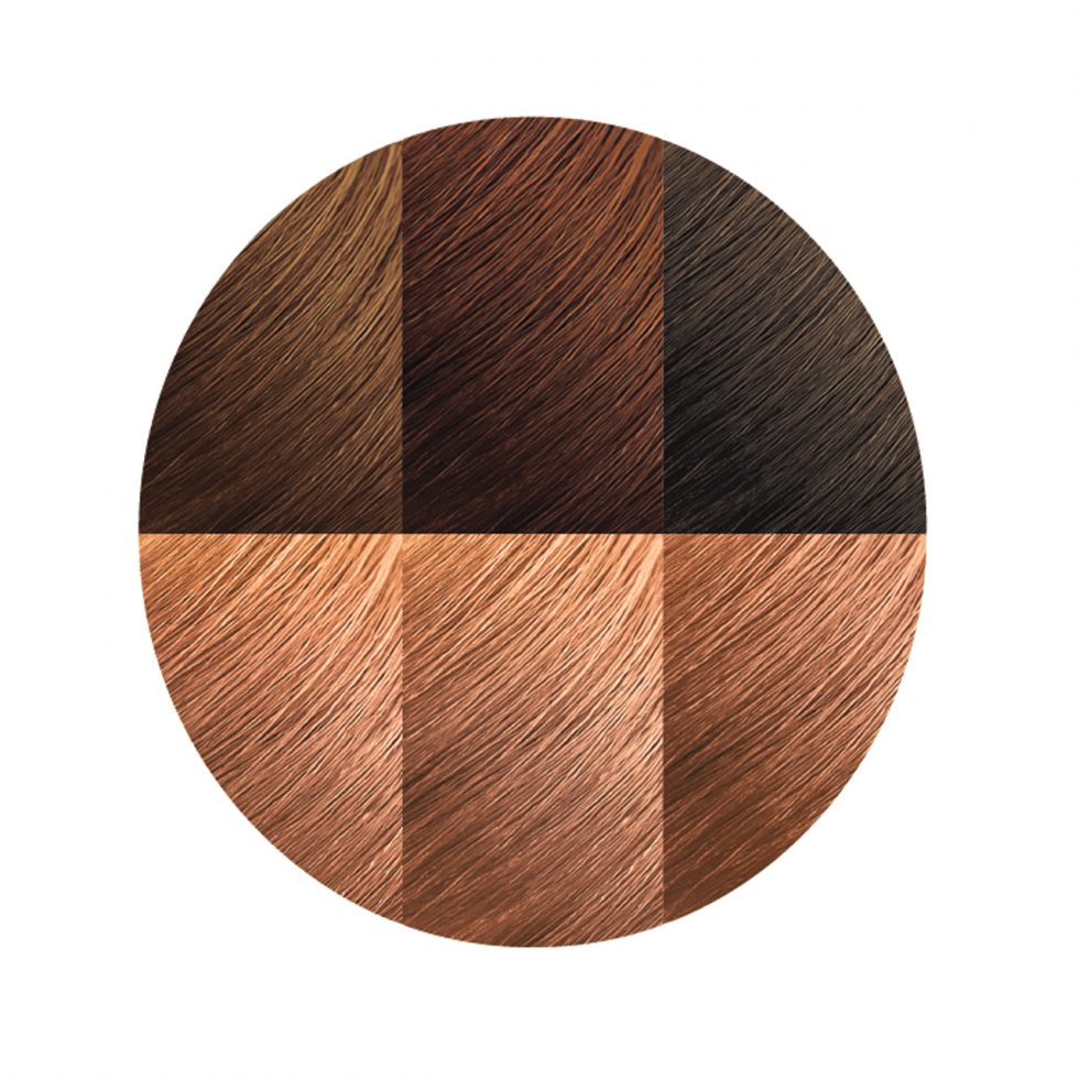 Creme of Nature Argan Oil Permanent Hair Color 9.2 Light Caramel Brown