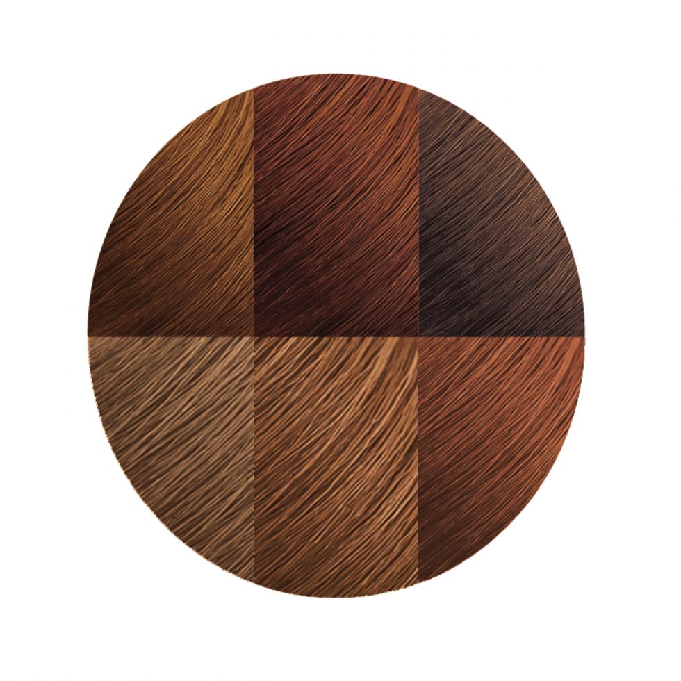 Creme of Nature Argan Oil Permanent Hair Color 7.3 Medium Warm Brown