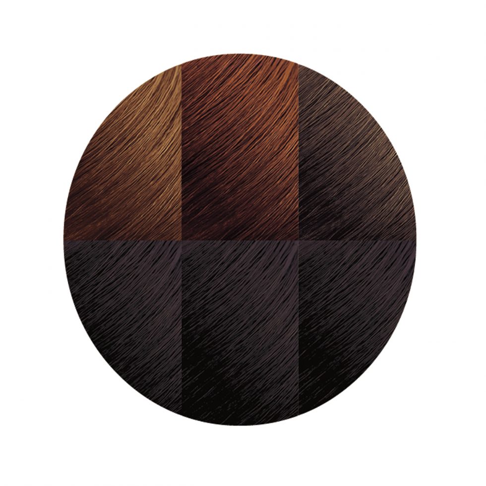 Creme of Nature Argan Oil Permanent Hair Color 3.0 Soft Black
