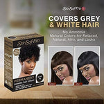 Sta Sof Fro Permanent  Powder Hair Color